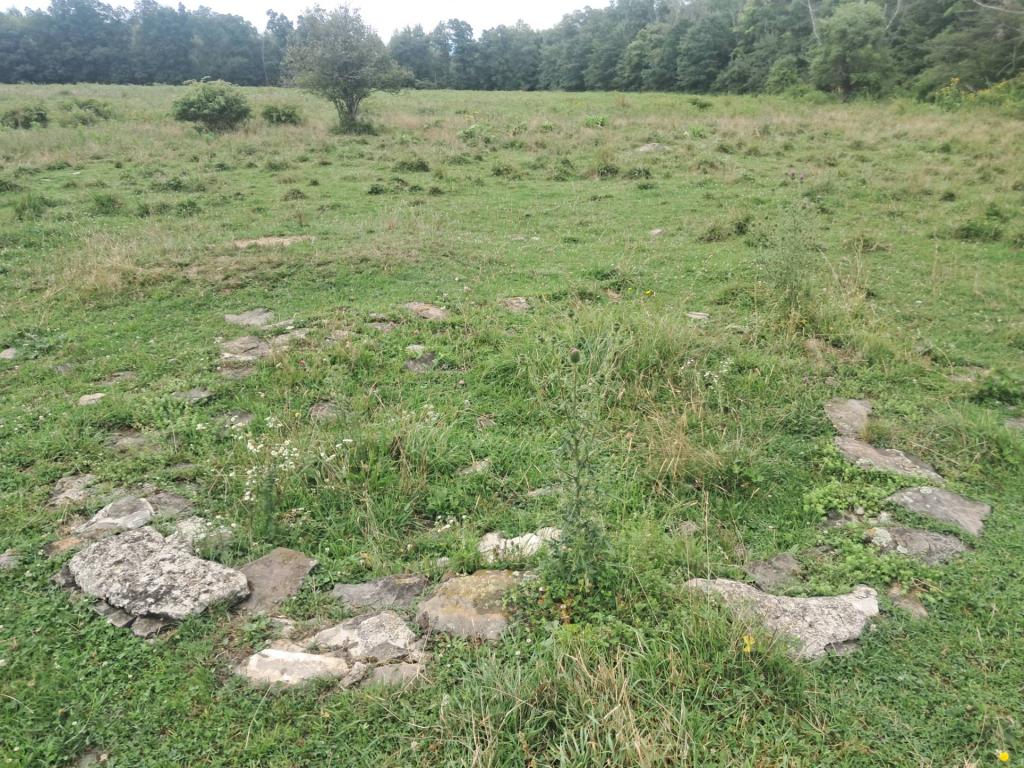 Photo: Circle [Expires August 16 2026]