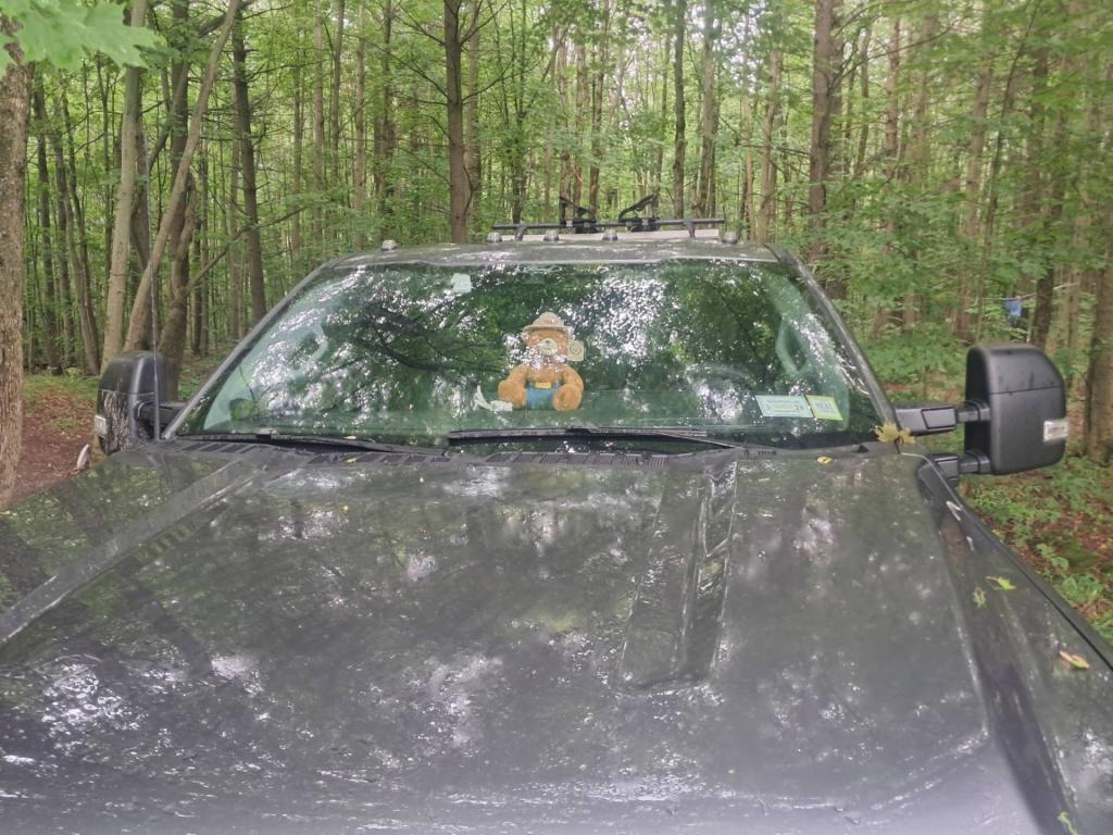 Photo: Smokey [Expires August 16 2026]