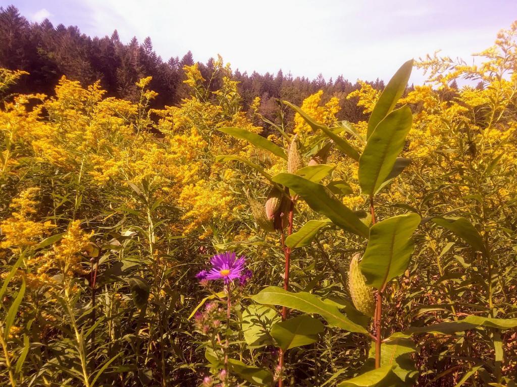 Photo: September Colors Photo: September Colors
