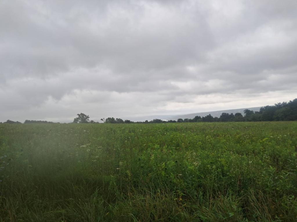 Photo: Untitled [Expires August 17 2026]