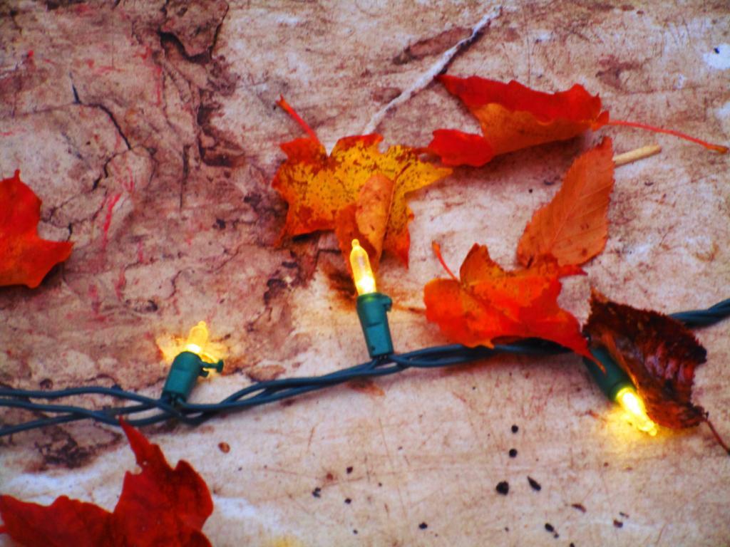 Photo: Autumn Colors