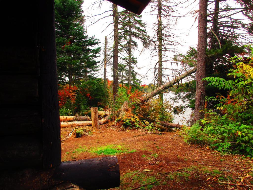 Photo: Looking Out from the Lean-To