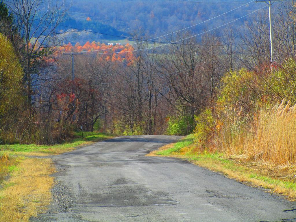 Photo: Hardy Road Photo: Hardy Road