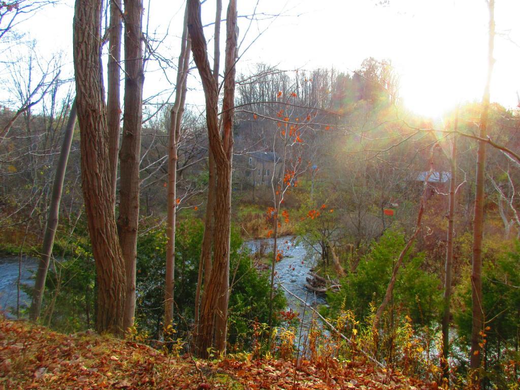 Photo: Near Cazenovia Photo: Near Cazenovia