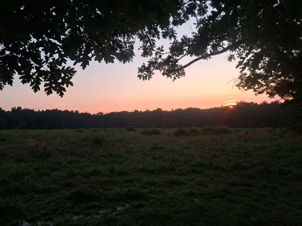 Photo: Morning has broken [Expires August 22 2026]