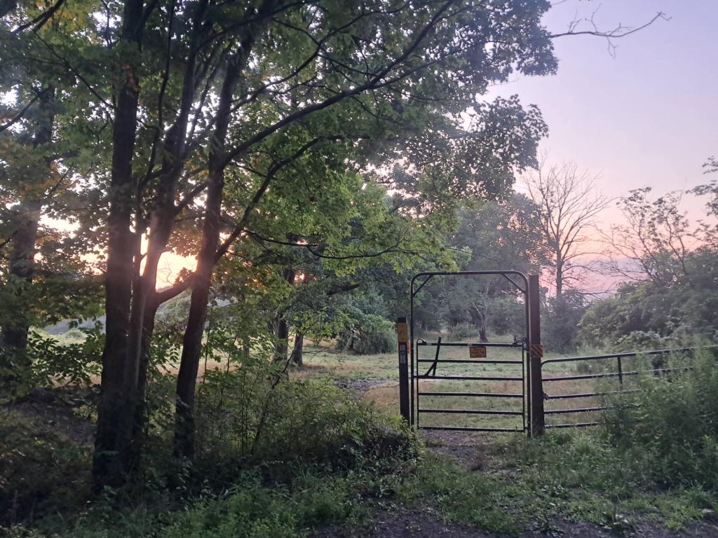 Photo: Gate [Expires August 22 2026]