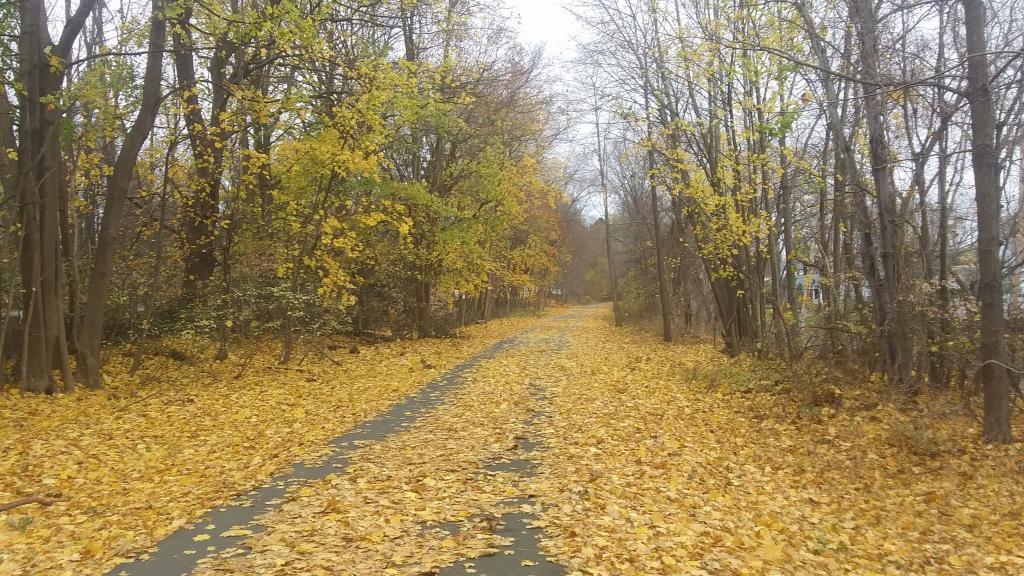 Photo: Some color on the rail trail Photo: Some color on the rail trail