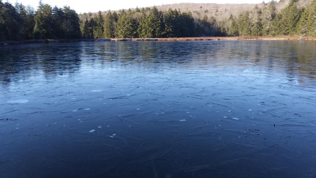 Photo: House Pond is Getting Icy ❄