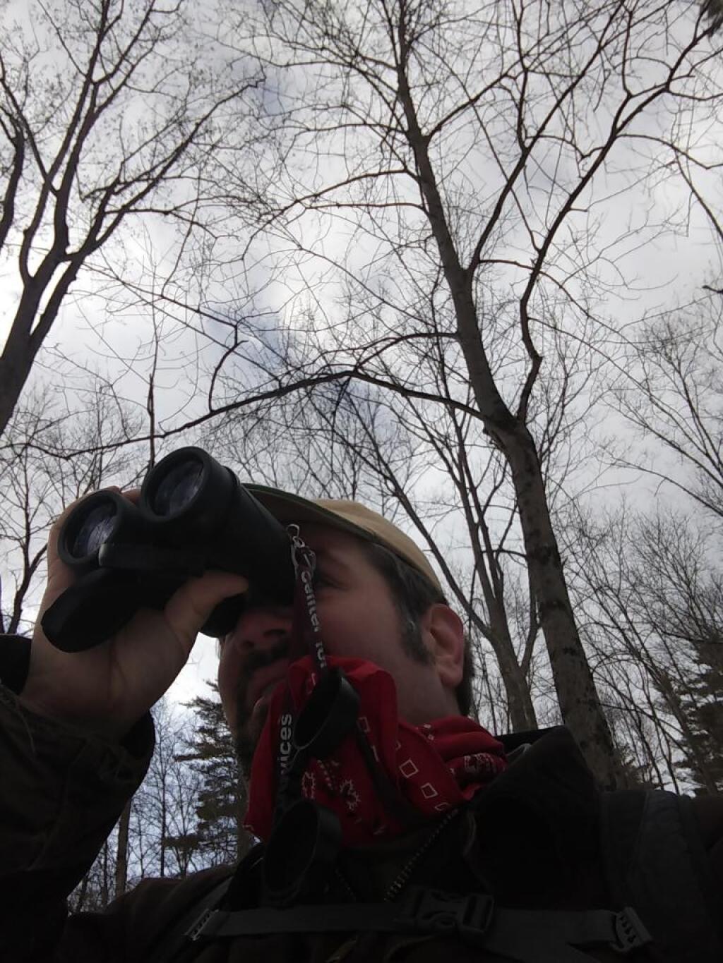 Photo: Bird watching