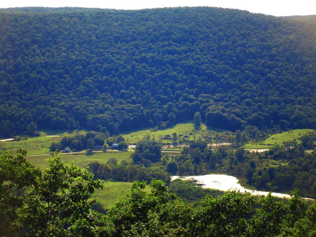 Photo: Lindsay-Parsons Biodiversity Preserve from Abbot Overlook