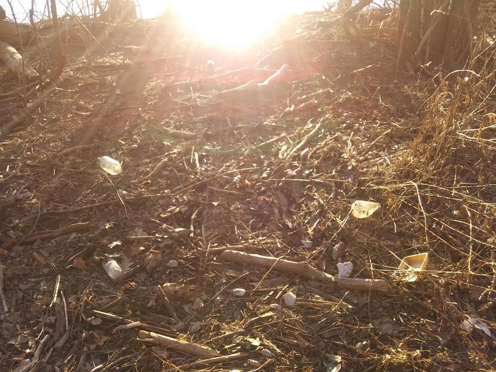Photo: Litter 🚮 along the Hudson River